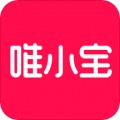 维小保