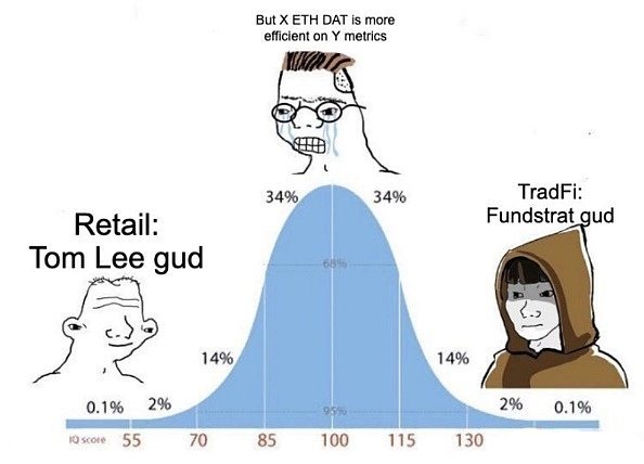 DAT投资指南