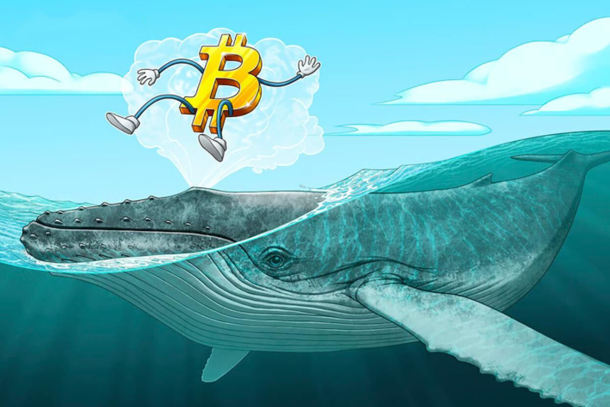 比特币巨鲸抛售11.5万枚BTC,创2022年中期以来最大抛售潮