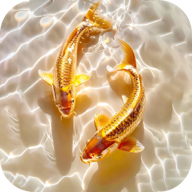 桌面养鱼动态壁纸app下载