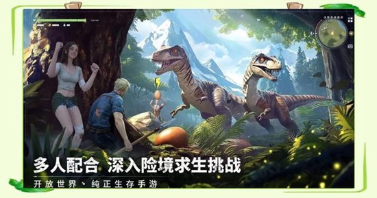 荒原曙光怎么联机-荒原曙光组队玩法