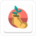 我的日常