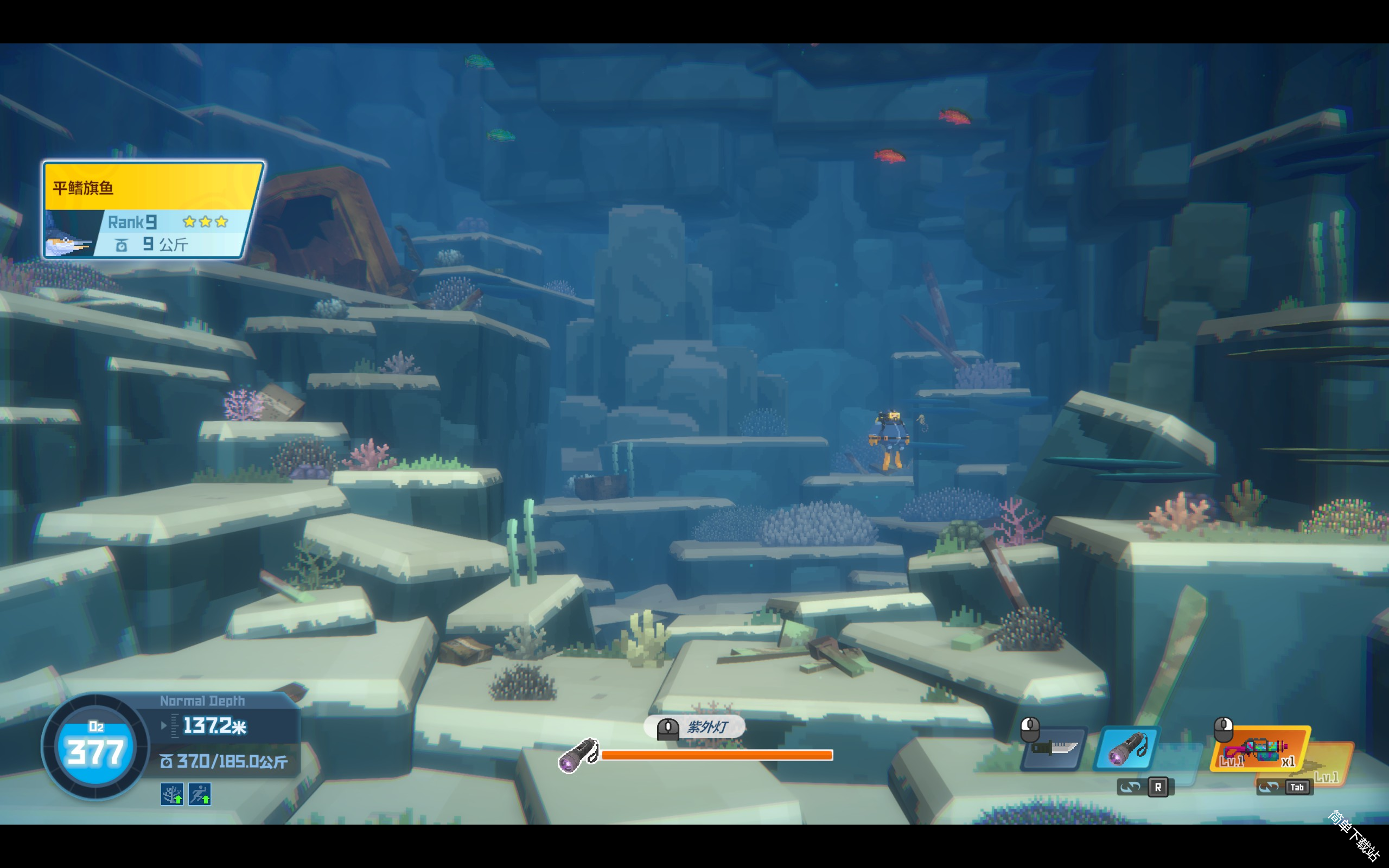 潜水员戴夫特殊海马捕捉位置区域方向