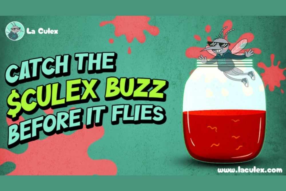 卡尔达诺价格预测终于准备好起飞了吗?La Culex预售成为当前最佳山寨币购买选择