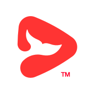 锦书在线网课app下载