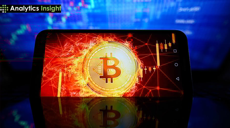 Block第三季度收入达61.1亿美元,其中比特币相关交易贡献19.7亿美元