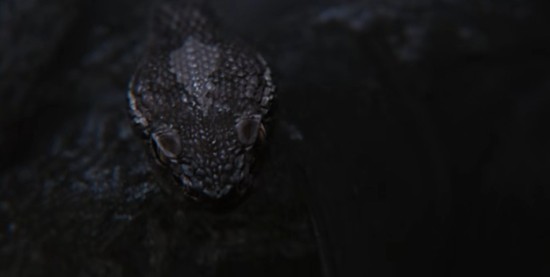 三角洲X潜龙谍影食蛇者联动确认-12月19日将开启