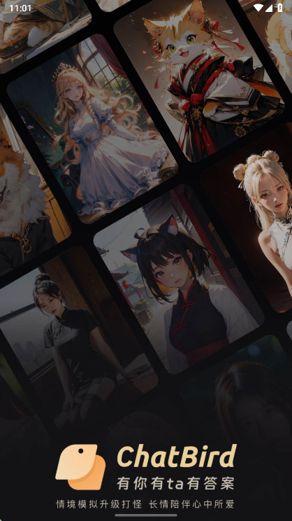 ChatBird聊天软件