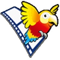 能飞英语手机版下载