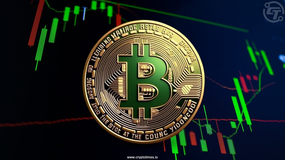 报告:小市值公司高管以实物加密货币资助DATs