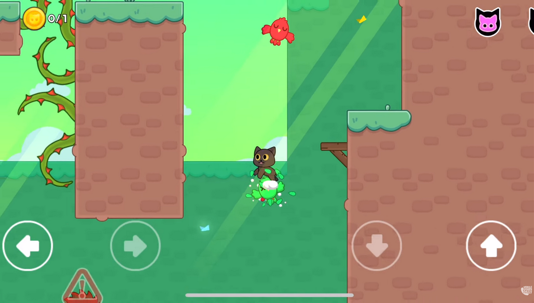 抓鸟的猫最新版