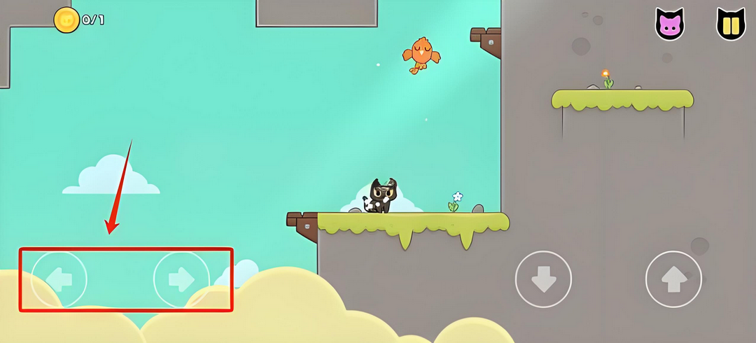 抓鸟的猫最新版