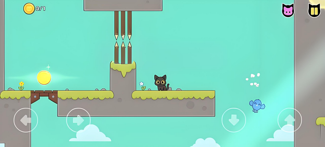 抓鸟的猫最新版