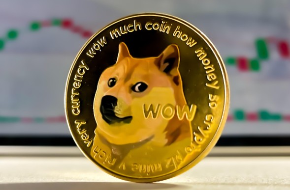 买狗狗币去哪个平台靠谱 买狗狗币平台推荐