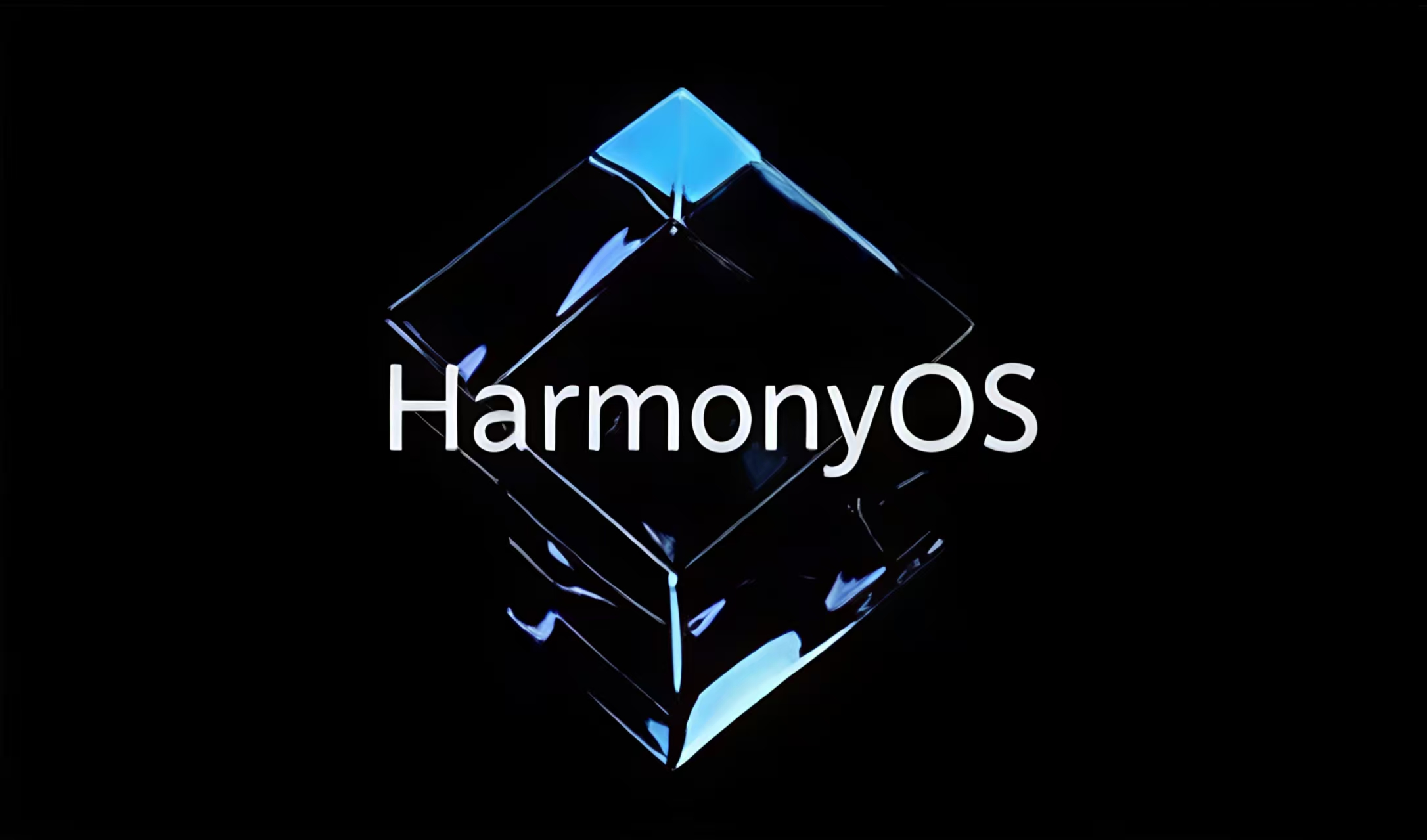 1764138332985915.jpg 1764138332985915.jpg