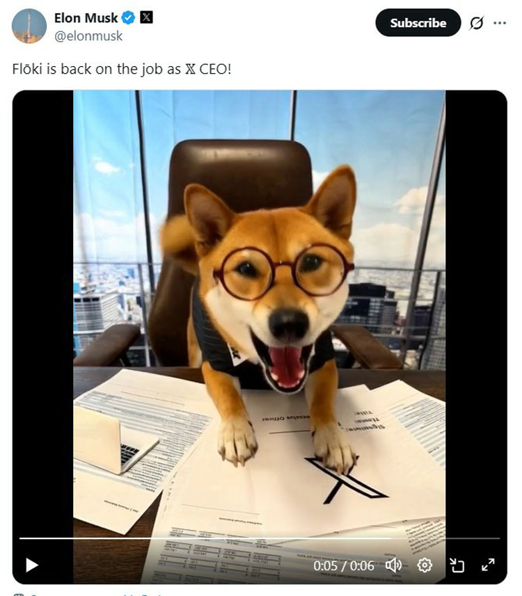 模因币单日飙升29%