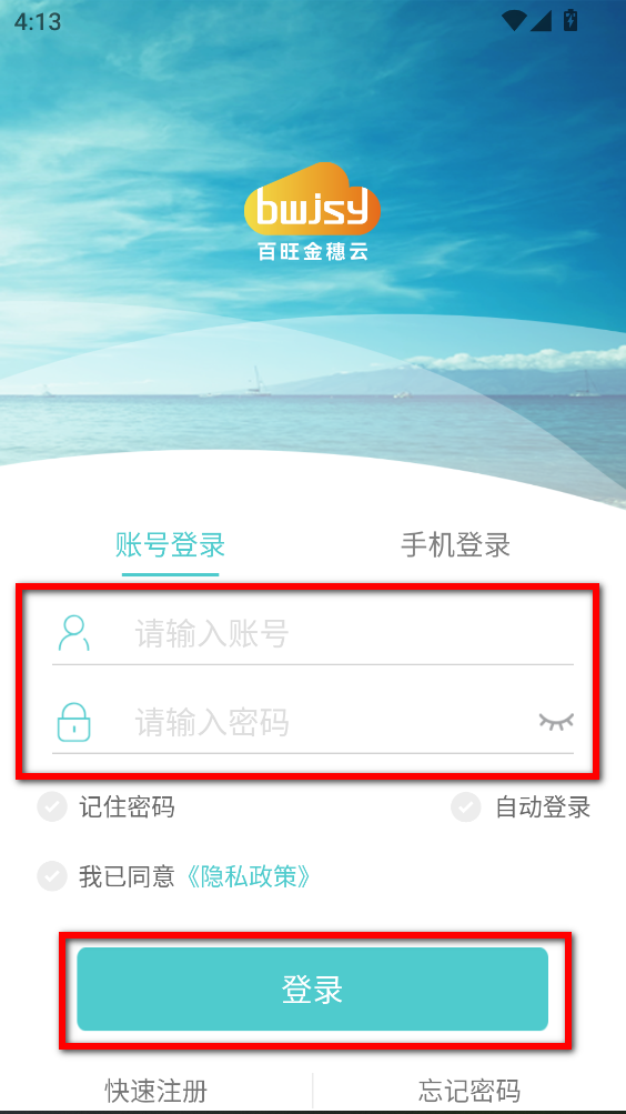 百旺金穗云开票app
