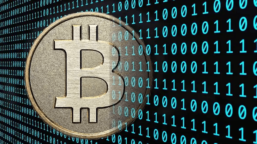 2025年12月4日Knovus每日问答：快速获取KNOVUS积分的秘诀