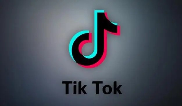 TikTok网页版官方入口-TikTok在线视频直接观看