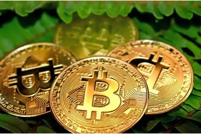 去哪查看有新币上线-如何查看新币