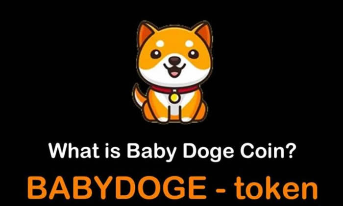 萌宠币(BabyDoge)是什么？BabyDoge币如何轻松入手？