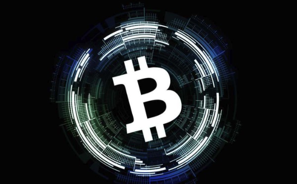 1765251430517126.jpeg 345346.jpeg