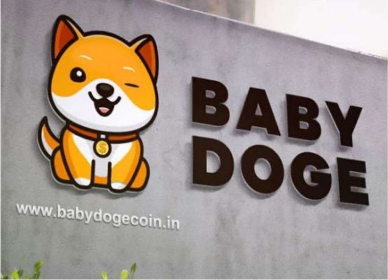 萌宠币（BabyDoge）是什么？能做什么？前景怎样？
