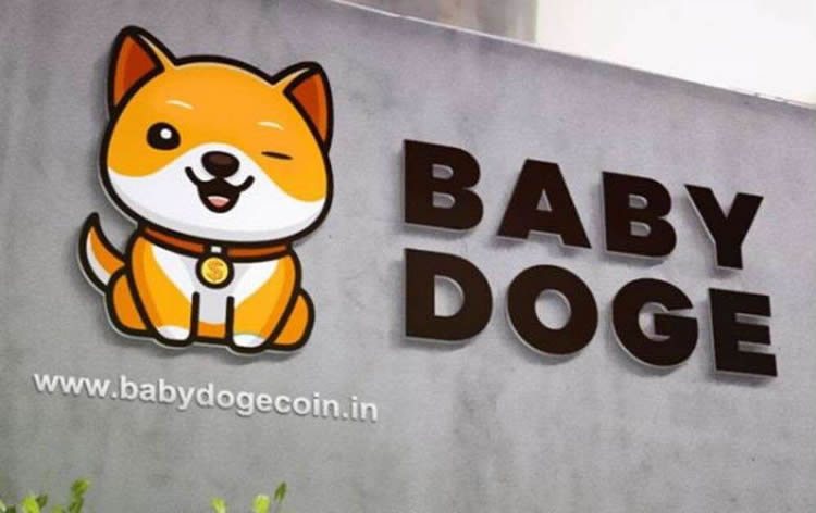 宝贝狗币(BabyDoge)是什么？最新价格走势与未来前景解析
