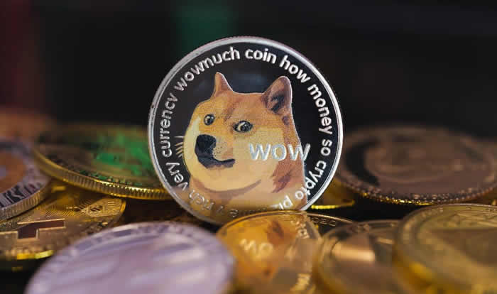 狗狗币购买指南：手把手教你买DOGE币