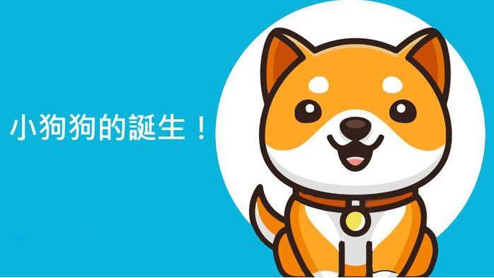 狗狗币与宝贝狗币有哪些核心差异