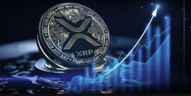 XRP代币经济与投资风险深度解析