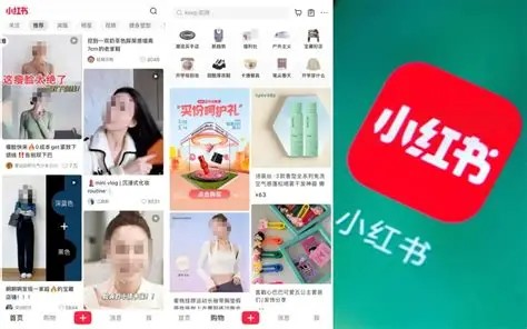 网页版小红书直达通道-网页版小红书无需APP直接浏览