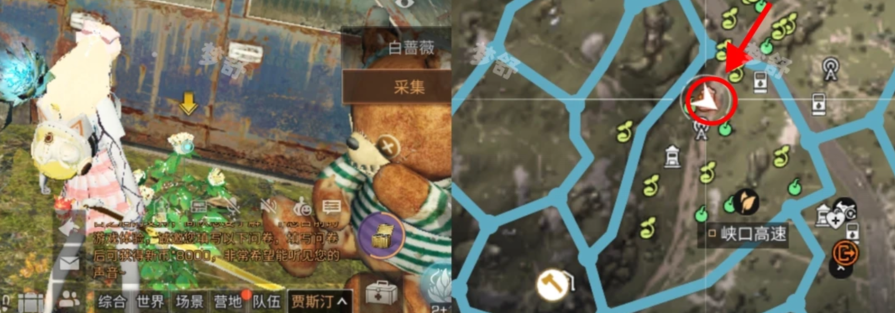 明日之后9种鲜花采集获取的具体位置坐标