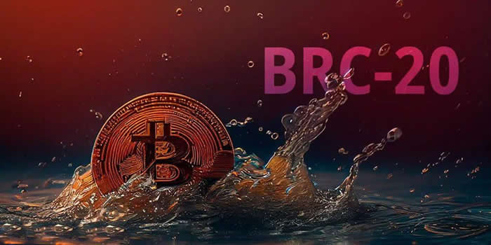 BRC20代币购买指南：手把手教你买入与交易