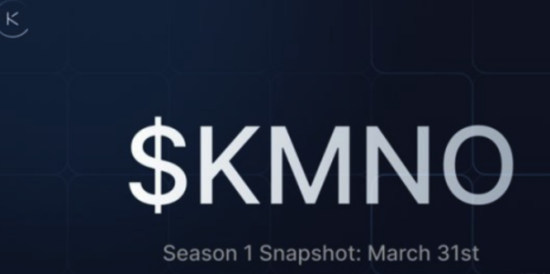 KMNO市场潜力如何-新手适合长期持有KMNO币吗