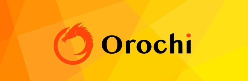 Orochi Network是什么？ON币有何价值？投资前景如何？