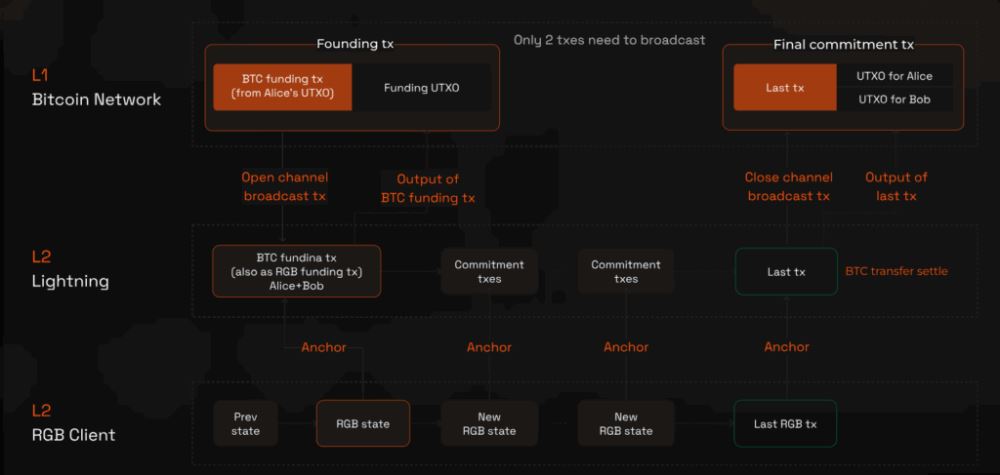 Bitlight (LIGHT)币详细介绍