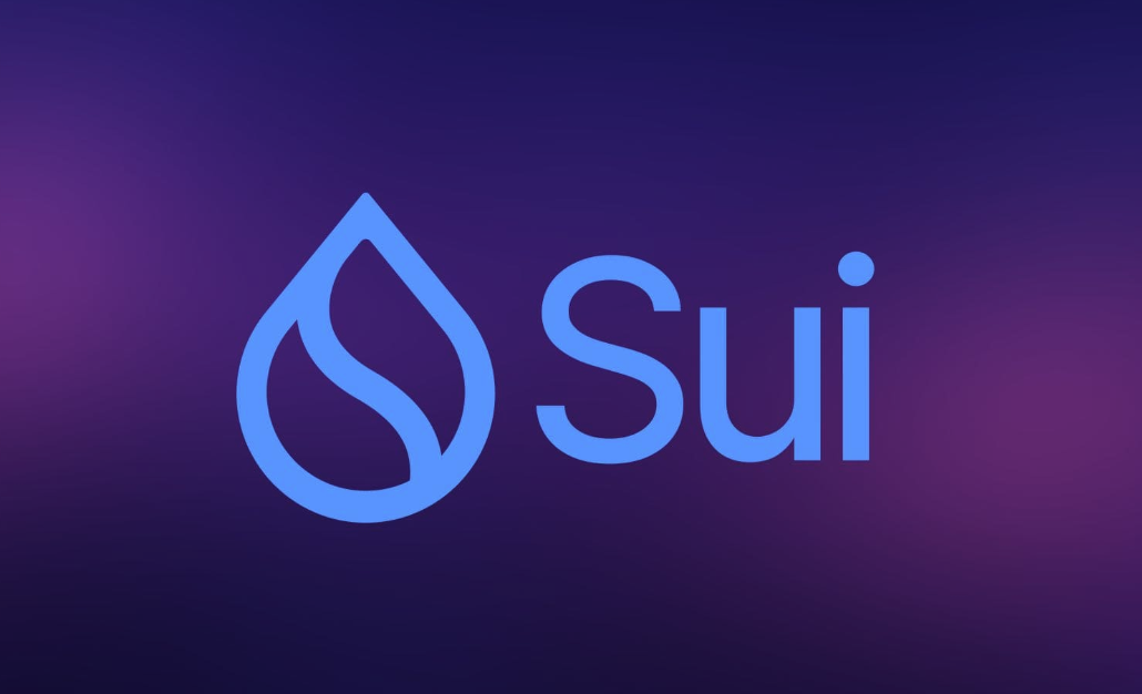 Sui的Move语言优势解析-开发者为何选择它构建dApp