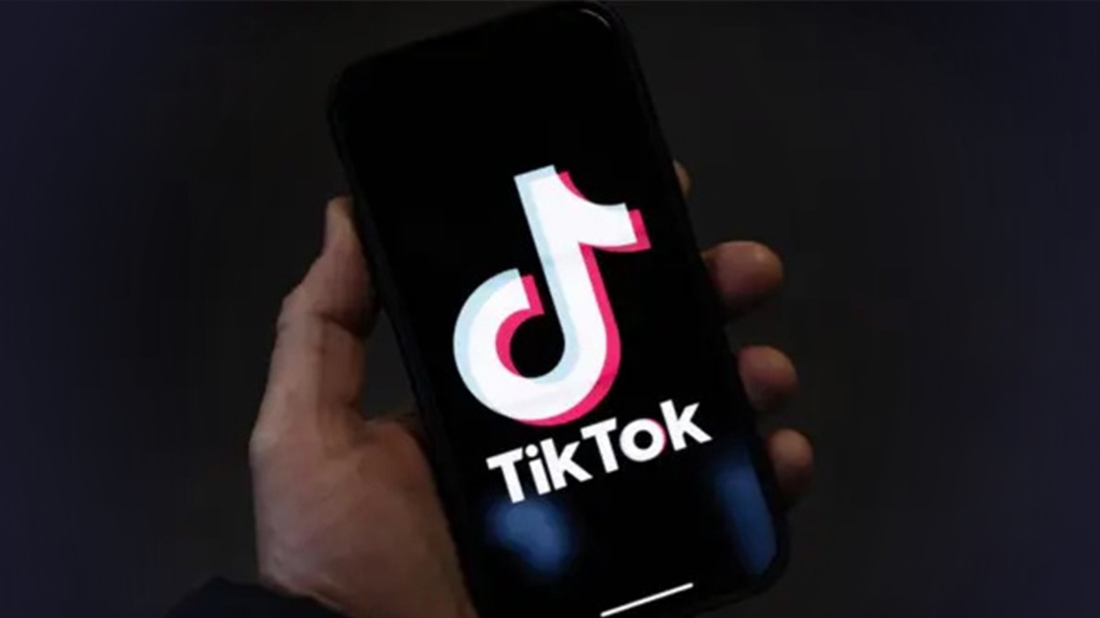 TikTok免安装极速入口-TikTok在线高清看视频免费入口