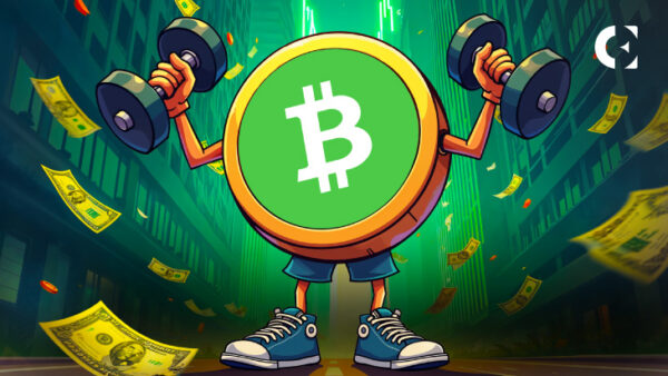 比特币现金上涨10%，因投资者为Cashinals升级重新平衡投资组合