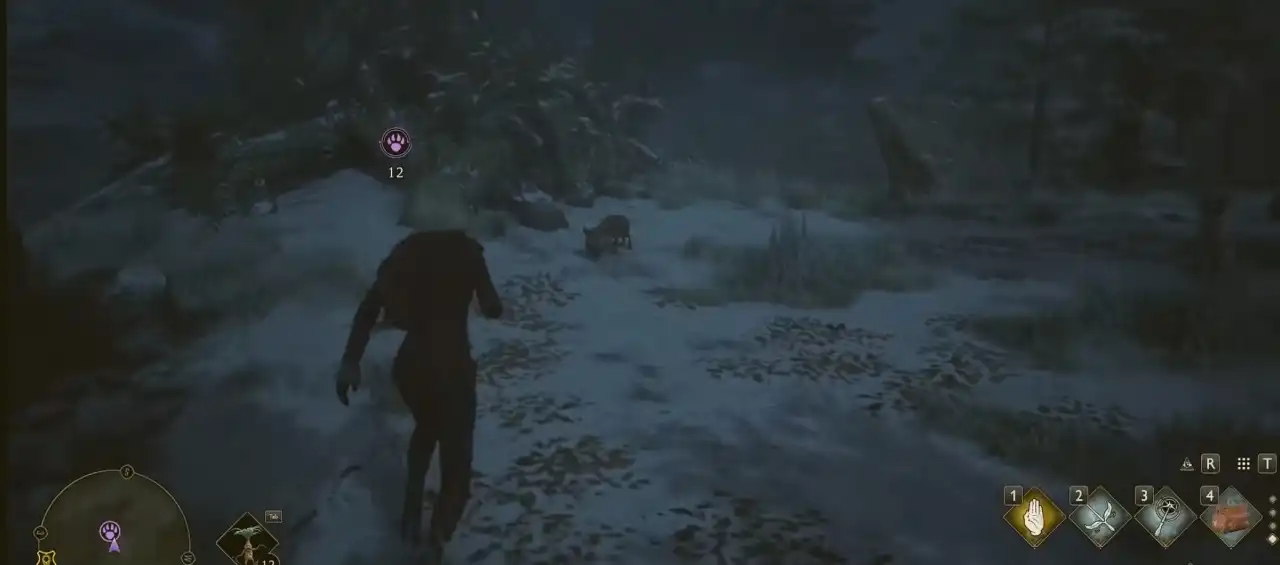 霍格沃茨之遗13种神奇动物捕捉技巧