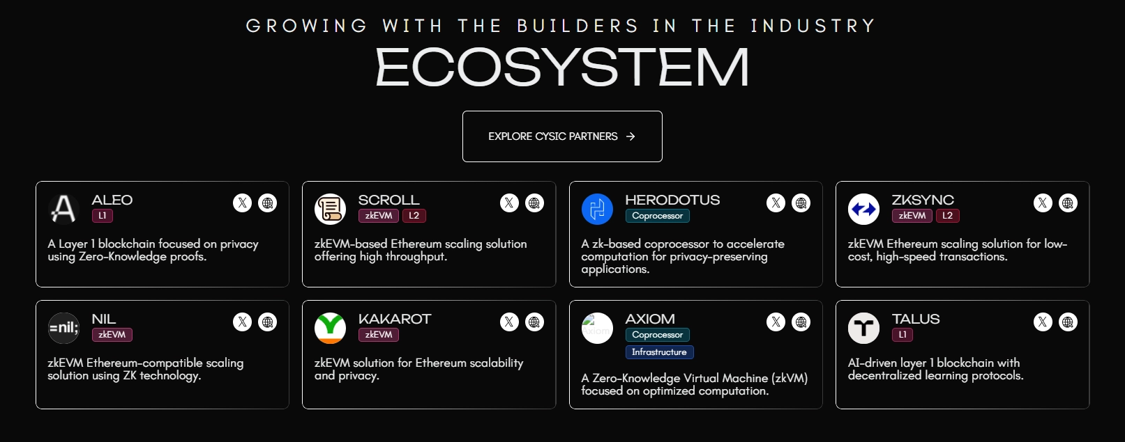 Cysic(CYS)币详细介绍