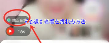 心遇如何查看在线状态