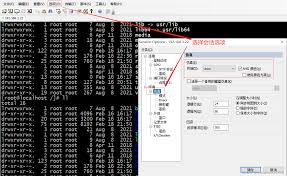 SecureCRT如何修改字符编码