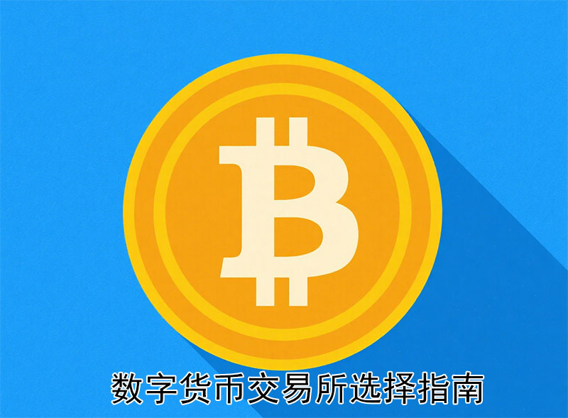 数字货币交易所哪家强？挑选优质平台的实用指南