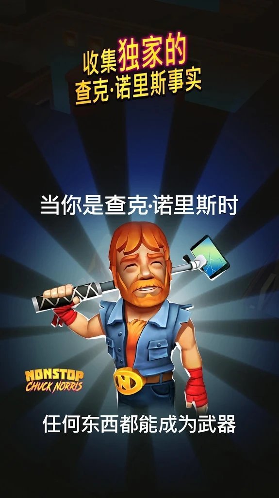 不间断的查克诺里斯 1