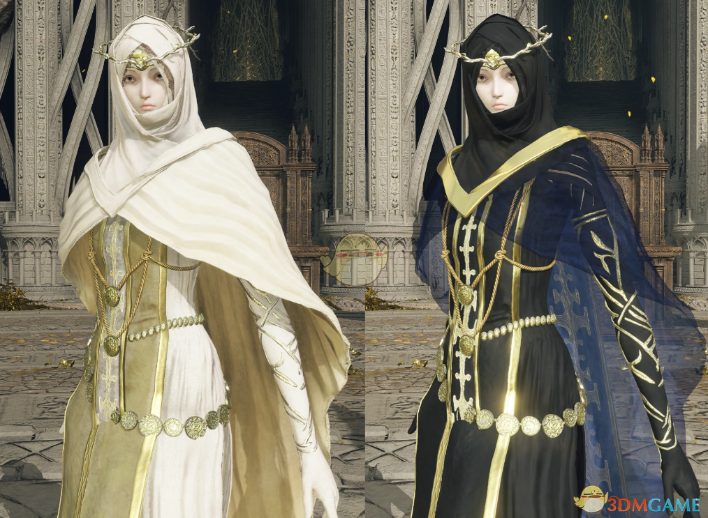 《艾尔登法环》黑夜君临黎明送葬者外观MOD