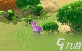 口袋新旅途如何捕捉马赫斯