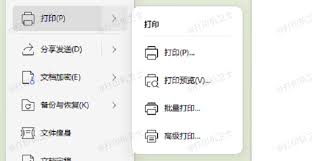 Safari PDF在线预览空白如何解决