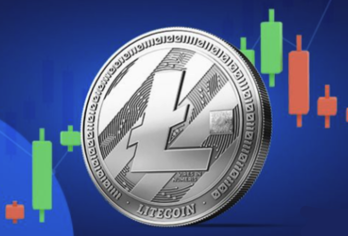 LTC币安全存储指南-冷钱袋最佳选择